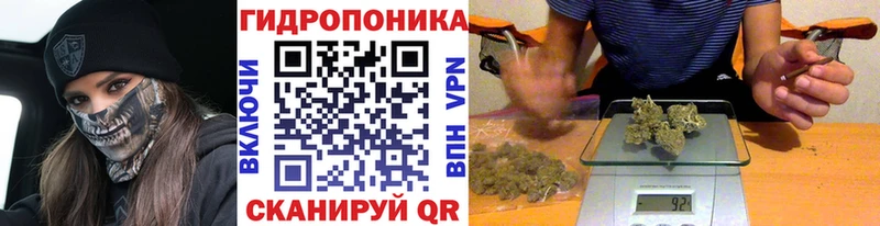 Марихуана Amnesia  Купить  Лысьва 